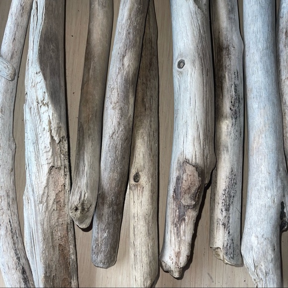 12 Count Box 12" - 16" Oregon Driftwood Sticks - Picture 7 of 8
